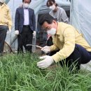 행정농장 이미지