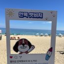비단펫 이미지