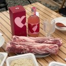 팔도종합상사 | 우리술상회x꽈추형 긴밤을지나 특이한 술을 찾는다면