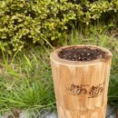 황찬우 카카오 검색결과