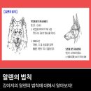 에스디애견미용학원