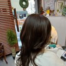 착한헤어 - 고양시 일산서구 | 착한헤어
