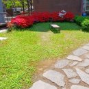 4.26(토) 대면수련85, 작은 거인