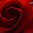 동삼장기요양기관 이미지