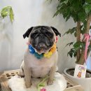 딱이네미용실 이미지