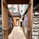 두사충의 뽕나무 사 | 대구 두사충 뽕나무 골목/ 김원일의 마당깊은 집/ 구 교남YMCA회관
