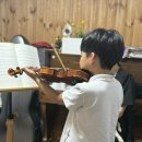 바이올린(야간) 이미지