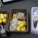 남일초병설유치원 이미지