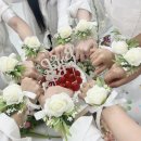 [제주/아라동] 브라이덜샤워👰🏻‍♀️ 깔끔 그 잡채 스튜디오 대여 *스튜디오 느린*