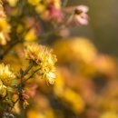 금곡영화마을 이미지