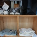 굿모닝명품세탁 이미지