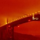 모아자동차정비공업사 이미지