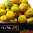 윤이네농장