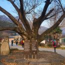 대월리 마을회관 이미지