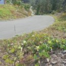 풍동동막길 이미지