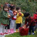 프로낚시 이미지