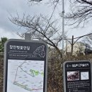 제1390회 365 건강걷기/장안벚꽃길 이미지