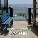 테라스커피숍 | 카페봄 | 강구항 영덕대게거리 근처 애견동반 오션뷰 맛집 커피숍 내돈내산 후기