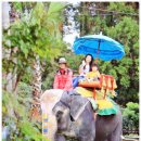 점보빌리지 이미지