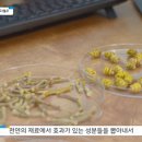 (주)아이앰더블유