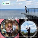 피노키오박물관(하슬라아트월드) | 강원도 강릉 실내 데이트 놀거리 하슬라 아트월드 피노키오 박물관