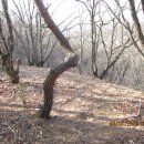 주아목장 이미지