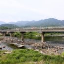 강여울 숲 이미지