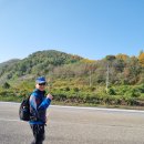 해파랑길 25코스[251109] 이미지