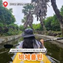 힐링카약파크비체올린 | 비체올린 카약 능소화 수국 축제 입장료 한경면가볼만한곳