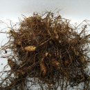 신후농장 이미지