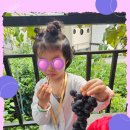 신광농장 이미지