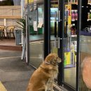 플레이카방 | [일산/파주] 셀프 세차장 추천 : 플레이 카방 (play car bang) 후기