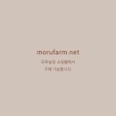 모루농장 이미지