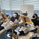 씨에스나무병원 이미지