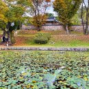 상서돌담마을 | 선비의 고장 영주여행, &#39;소수서원&#39;과 &#39;선비마을&#39;
