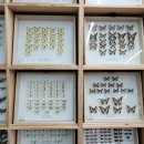 산청유치원 이미지