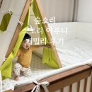 패밀리 | 숲소리 아루니 스토리 패밀리침대 후기