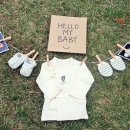 셀프펜션 이미지