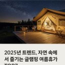 에코포레스트 평창 | 2025년 트렌드, 자연 속에서 즐기는 글램핑 여름휴가 TOP7 [최신 추천 가이드]