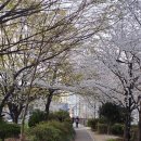 임항선그린웨이 이미지