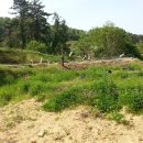 남해-175 이미지