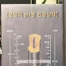살롱드루시 이미지