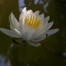 (주)경 이미지