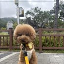 디엠케어 이미지