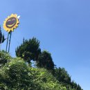 필수농장 이미지