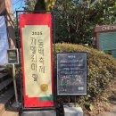 동백길커피 | 2025 제주 동백축제 카멜리아 힐 방문후기