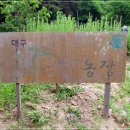 선남농장 이미지