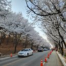 삼한세탁 이미지