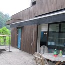 타피올라 이미지