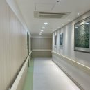 성대 | 성대구증 후두미세수술 KTP 레이저 후기